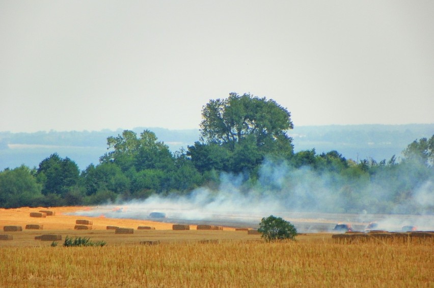 Pożar w Jaraczewie: Strażacy walczą z ogniem na ziemi i z...