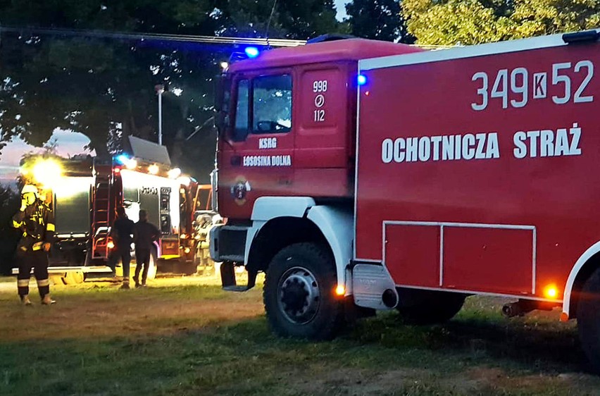 Ogniowe larum nad Jeziorem Rożnowskim. Do pożaru w Bilsku ruszyło 5 zastępów straży