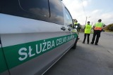 Wyłudzenia VAT. Zatrzymano 9 osób w pięciu województwach