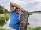 Ale okaz! Gigantyczny sum złowiony w Odrze. Ważył 47 kg i mierzył 185 cm. "Byłam przerażona. To był potwór!"