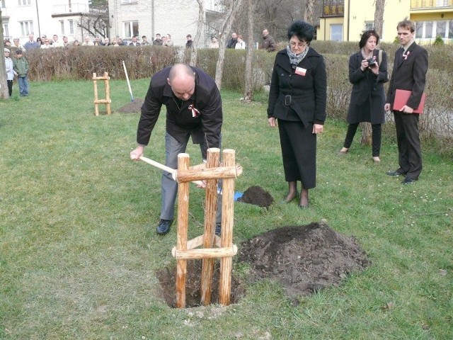 Jeden z 26 Dębów Pamięci w Starachowich na Skwerze Katyńskim sadzą Wojciech Bernatowicz, prezydent Starachowic i Magdalena Łodej, prezes Rodziny Katyńskiej w Starachowicach.