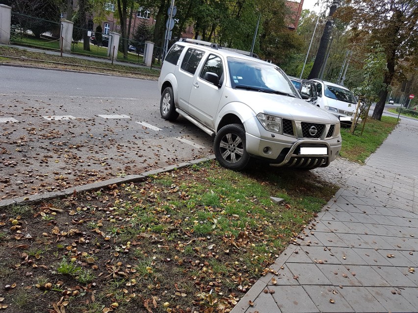 "Mistrzowie parkowania" - to jedno z najłagodniejszych...