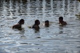 Wypoczywający na plażach w Sępólnie, Więcborku i Kamieniu mogą czuć się bezpiecznie