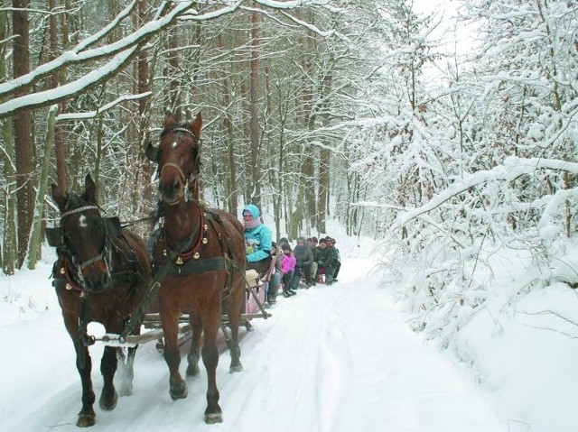 Kiedy spadnie śnieg, gospodarze &#8222;Stajni Leźno&#8221; bardzo często organizują podobne kuligi