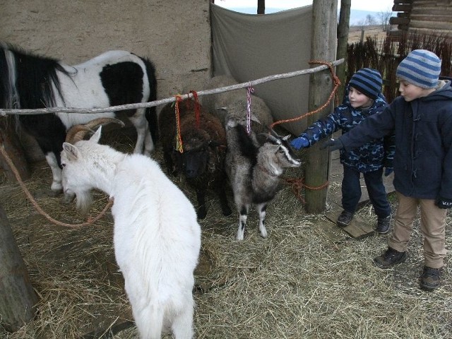 Bracia Kacper i Kamil Kowalscy z Bielin byli zachwyceni żywymi zwierzątkami.