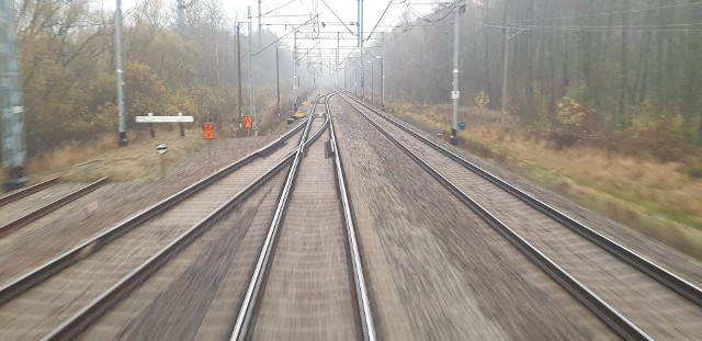 Tory kolejowe w pobliżu stacji Gąsocin