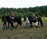 Hipoterapia - dzięki niej mali pacjenci osiągają nieraz zadziwiające efekty