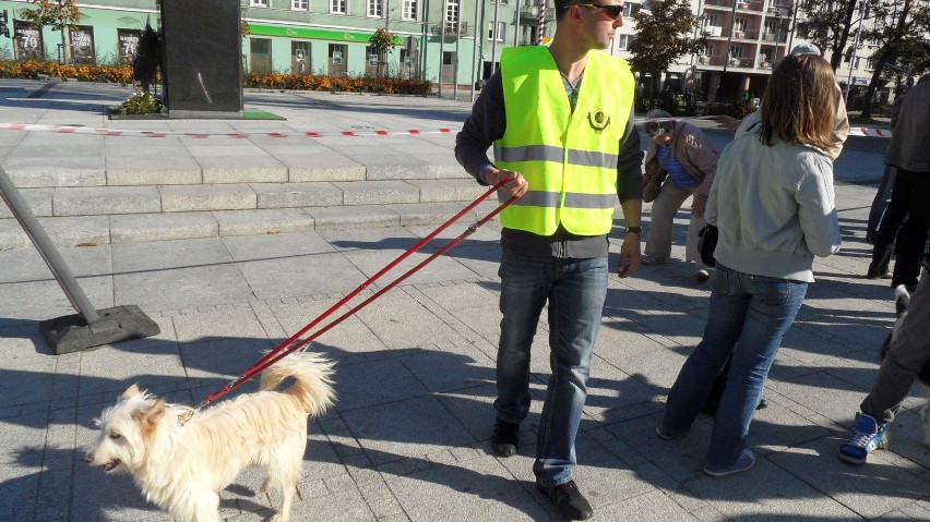 "Nie kupuj-adoptuj!" - festyn dla zwierząt w Częstochowie [ZDJĘCIA]