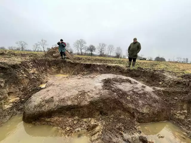 Tajemnicy głaz na polu w okolicach Kamienia Pomorskiego. Na szczerym płaskim polu taki gigant musiał się wyróżniać i dla ludności pradziejowej mógł stanowi jakieś miejsce szczególne.