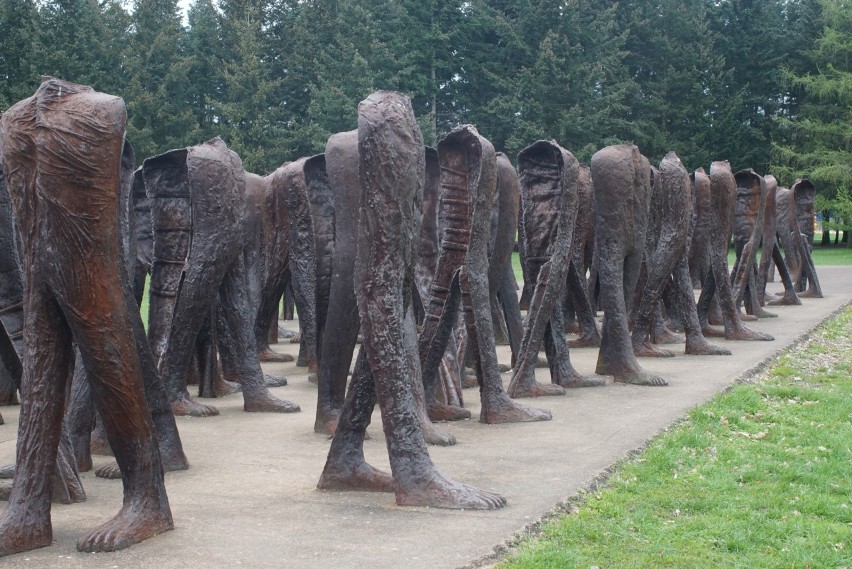 Rzeźby Abakanowicz można oglądać także w Poznaniu. Są...