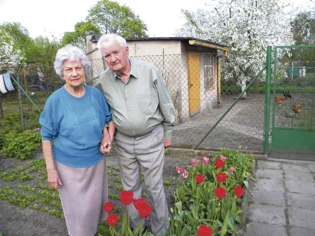 Stanisław Tokarski, widział i przeżył wiele, teraz najlepiej czuje się wśród kwiatów we własnym ogrodzie, który pielęgnuje wspólnie z żoną 