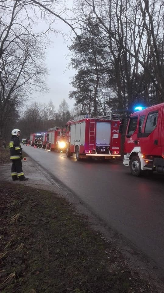 Brzezińscy strażacy uratowali z pożaru kota! Podali mu tlen przez maskę! [zdjęcia]