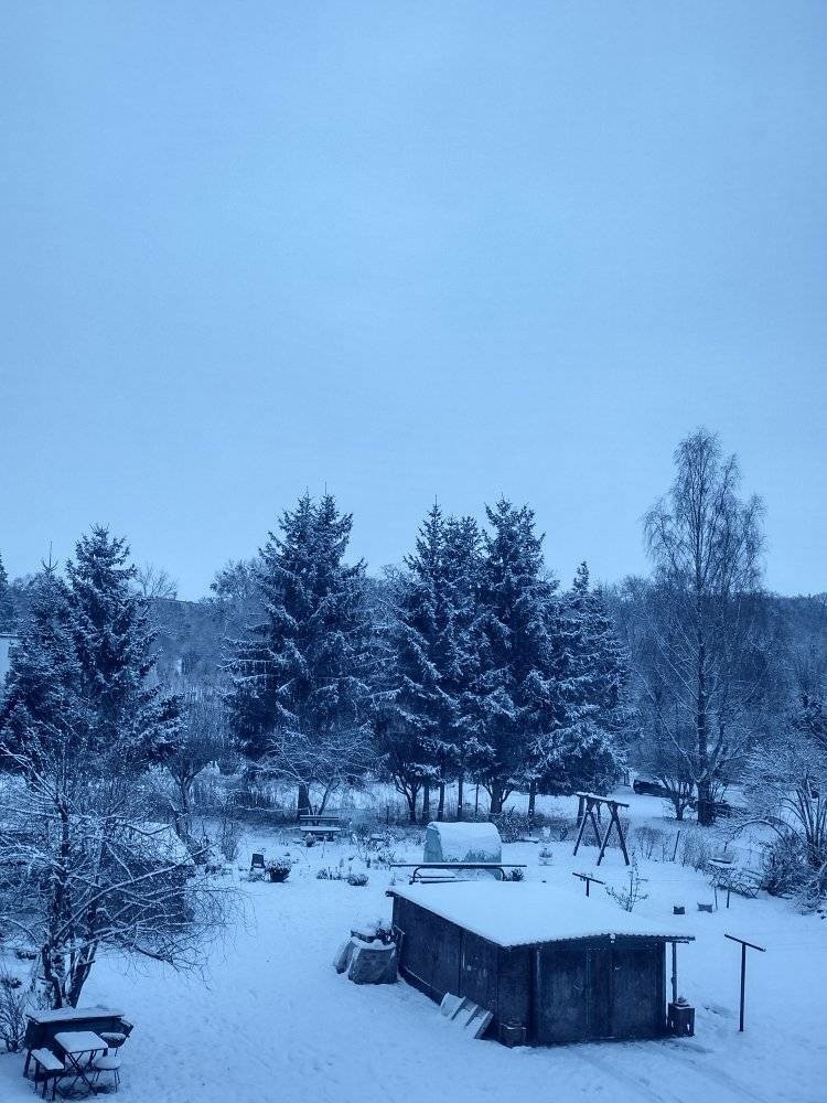 Zimowe zdjęcia naszych Internatuów.