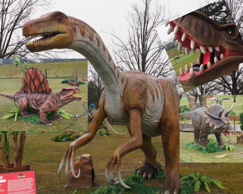 Park dinozaurów w Łodzi. Więcej na kolejnych zdjęciach