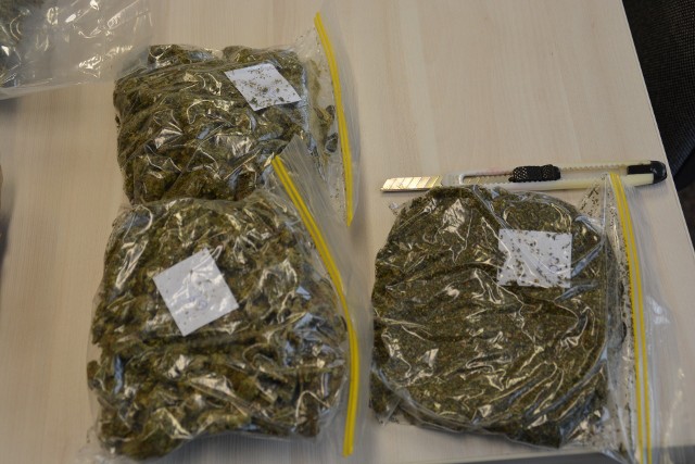 Trzej mężczyźni z Białegostoku już usłyszeli zarzuty. W mieszkaniu każdego z nich znaleziono łącznie ponad pół kilograma marihuany oraz 10 ciasteczek z zawartością tego samego narkotyku.