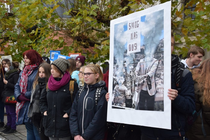 Kampania "Nie dokarmiaj smoga" w Pszczynie