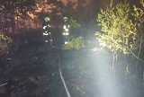 Pożar lasu w Kalinie i Herbach ZDJĘCIA W akcję gaszenia zaangażowano ponad 20 zastępów PSP i OSP. Dwaj mieszkańcy gminy Herby podejrzani