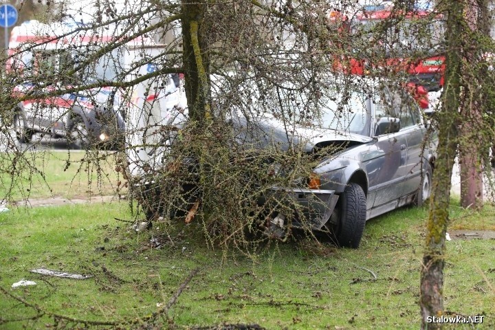 Stalowa Wola. Bmw uderzyło w drzewo, czteroosobowa rodzina, w tym dwójka małych dzieci, trafiła do szpitala (ZDJĘCIA)