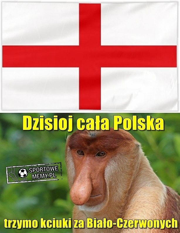 Niby człowiek wiedział, a jednak się łudził - Memy po meczu Anglia - Polska [galeria]