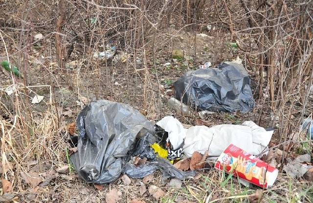 Odpady leżą także wzdłuż ścieżki prowadzącej do parku dzikowskiego.