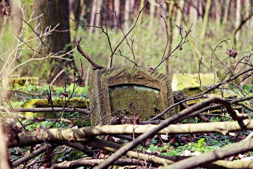 W woj. lubuskim nie brakuje starych cmentarzy liczących...