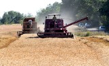 Ministerstwo Rolnictwa odpowiedziało rolnikowi z Głuszynka