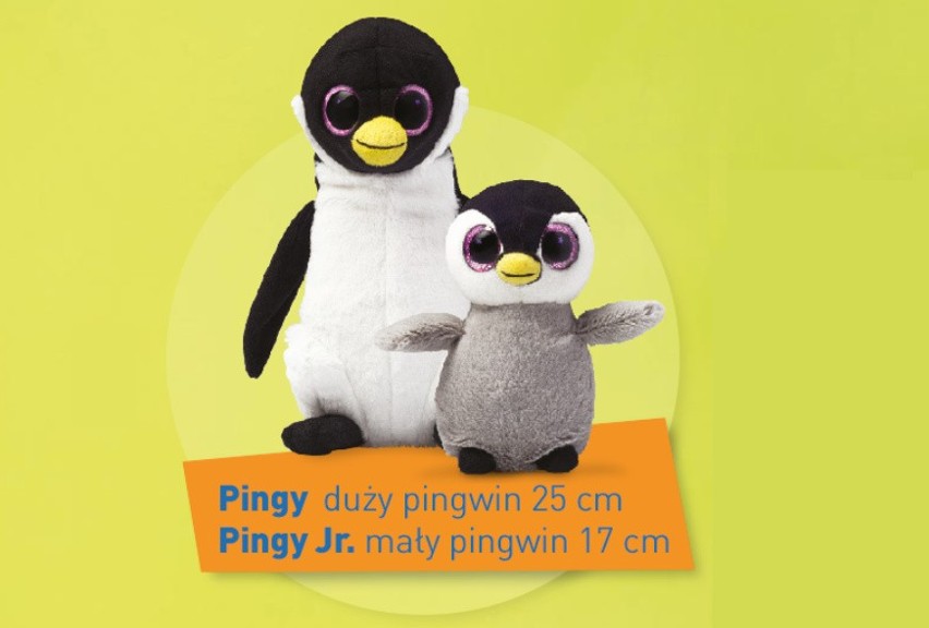 Pingwiny - Pingy i Pingy Junior