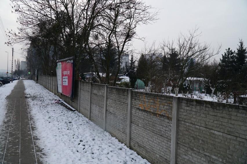 Przyszłość terenów zielonych na Winiarach stoi pod znakiem...