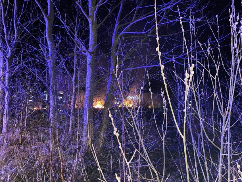 Plaga pożarów traw w powiecie koneckim. Najwięcej w gminie Radoszyce. Zobacz zdjęcia z akcji ratowniczych