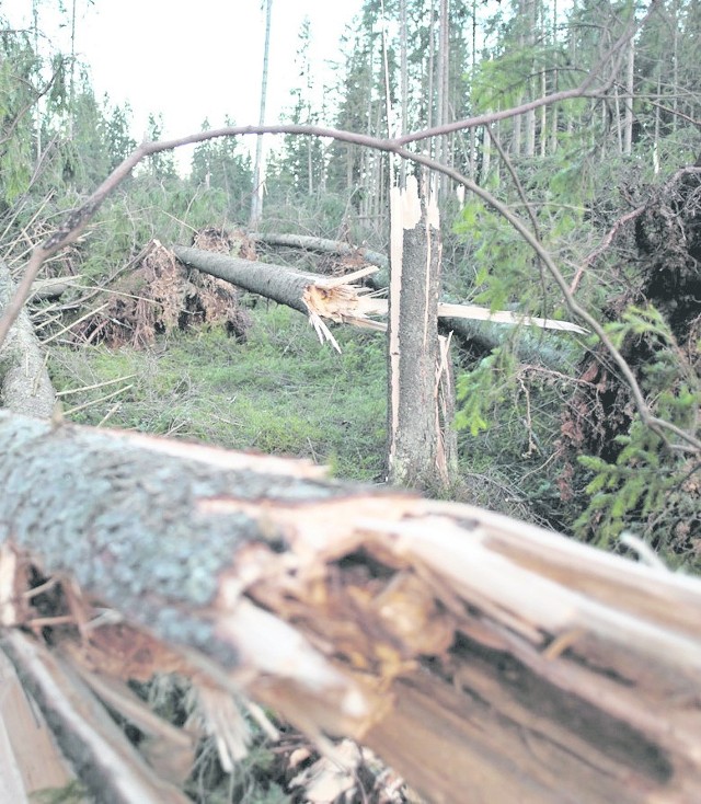 Tak wyglądał krajobraz po niszczycielskim halnym w grudniu 2013 r.