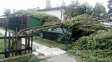 Burza w Gnieźnie - Komunikat Enei