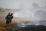 Pożar zboża i słomy na polu w Grabówcu w powiecie brodnickim. 11 zastępów strażaków przy wsparciu okolicznych rolników gasiło ogień
