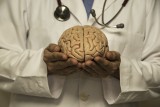 Mózg – budowa i funkcje poszczególnych elementów. Najczęstsze choroby i urazy mózgu