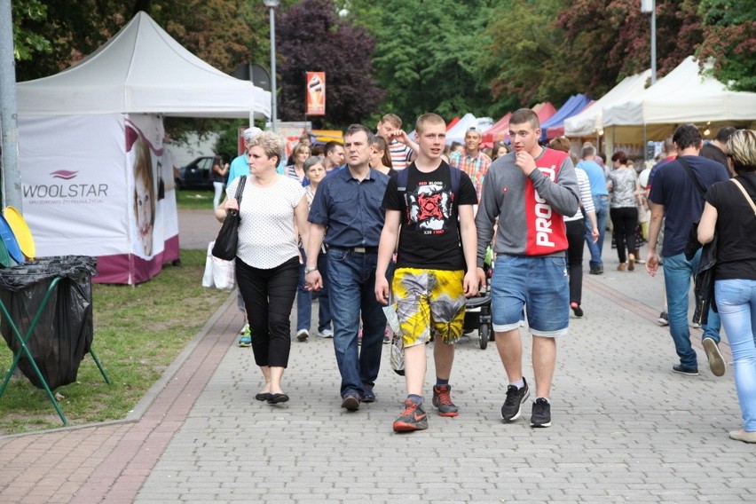 Drugi dzień Dni Dąbrowy Górniczej w Parku Hallera