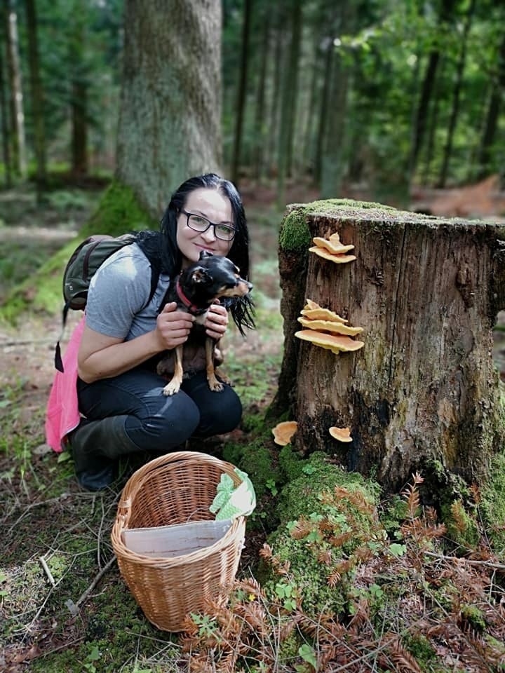 Beata Życińska – Wojtan ze Starachowic zbiera grzyby od dziecka. Zna się na nich jak mało kto. Zapowiada prawdziwy wysyp. Kiedy?