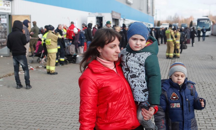 Przedsiębiorstwa uczestniczące w projekcie będą oferować...