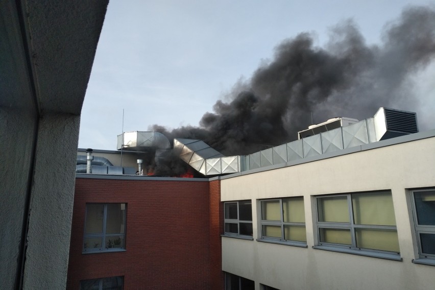 We wtorek strażacy otrzymali zgłoszenie o pożarze hali...