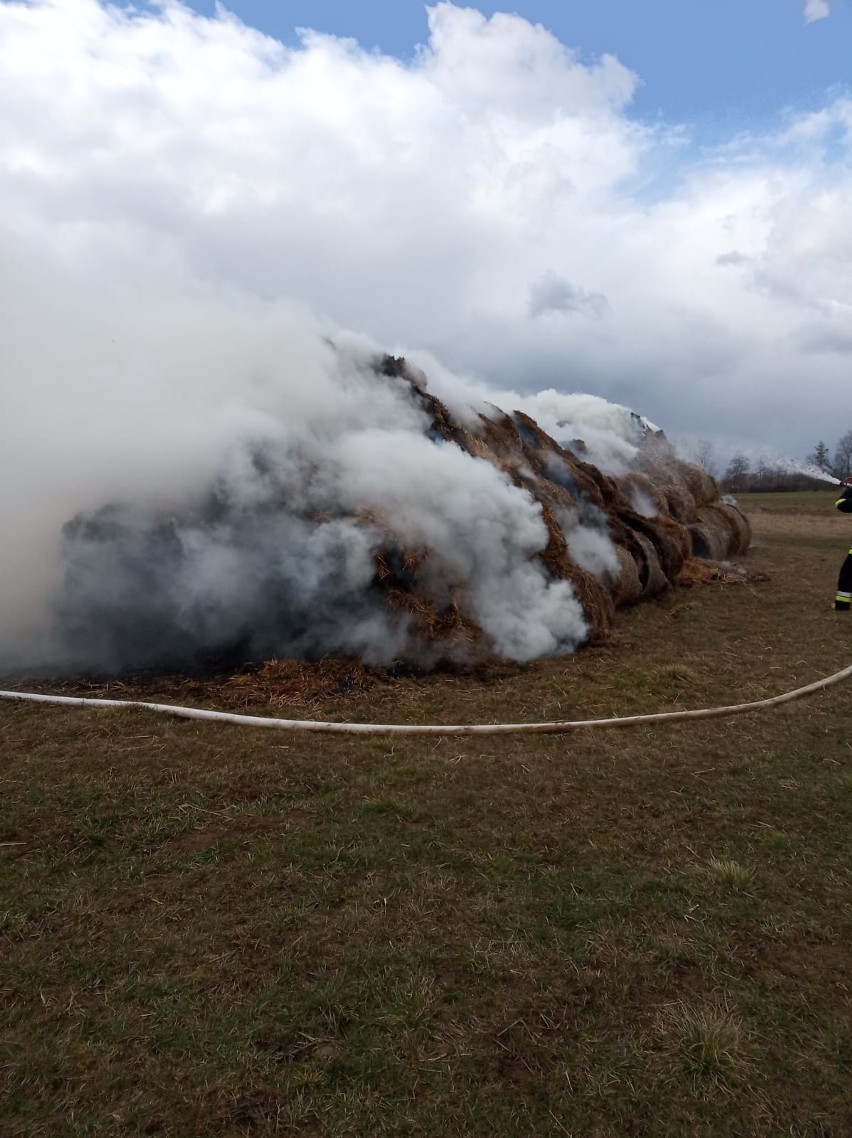 100 balotów słomy paliło się na polu w miejscowości Szwagrów. Akcja strażaków [ZDJĘCIA]