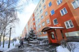Polacy wynajmują najgorsze mieszkania w Europie. A jakie kupują?