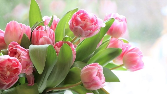 Dzień Kobiet to popularne w Polsce święto podczas którego kobiety najczęściej obdarowywane są kwiatami. W PRL-u były to goździki, aktualnie mężczyźni chętniej wybierają tulipany. Jednak kwiaty wydają Ci się za bardzo oklepane i wolisz wybrać inny upominek? Sprawdź propozycje, które przygotowaliśmy!Idealne prezenty na Dzień Kobiet według Anny Nowak-Ibisz