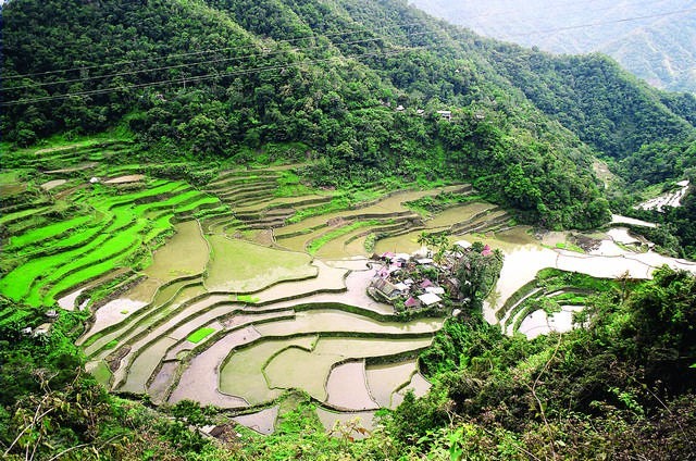 Banaue, czyli otaczające dolinę tarasy ryżowe zgodnie uznawane są za ósmy cud świata.