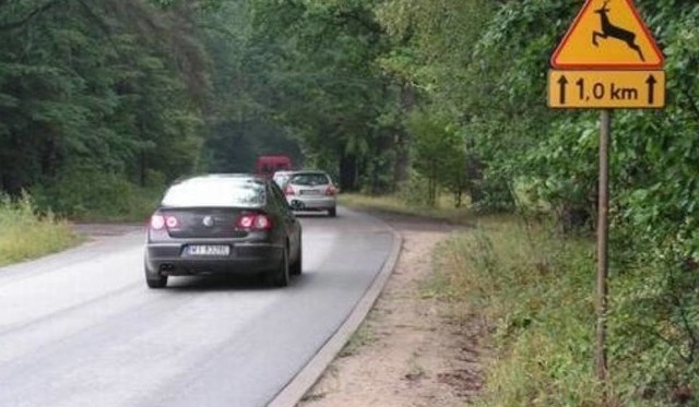 Jeśli dojdzie do potrącenia zwierzęcia mamy obowiązek mu pomóc lub wezwać odpowiednie służby