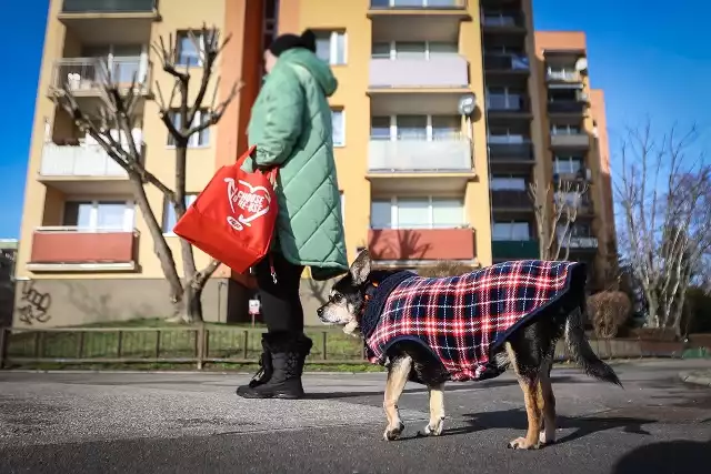 Okazuje się, że opłata za posiadanie psa nie jest niczym nowym w Spółdzielni Mieszkaniowej "Nowy Dwór". Wcześniej była nieco mniejsza.