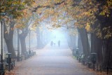 Kraków we mgle. Niesamowite zdjęcia miasta                             