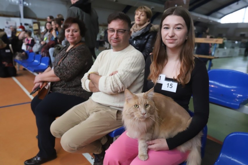 Wystawa Kotów Rasowych w Koluszkach. Przybyli wystawcy z kraju i zagranicy. Pięknych i rzadkich kotów nie brakuje