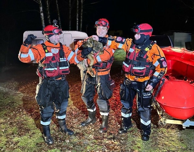 Tydzień czekał na ratunek. Bohaterska akcja ratowników z Morskiej Służby Poszukiwania i Ratownictwa. Jechali ponad 500 km by uratować psa