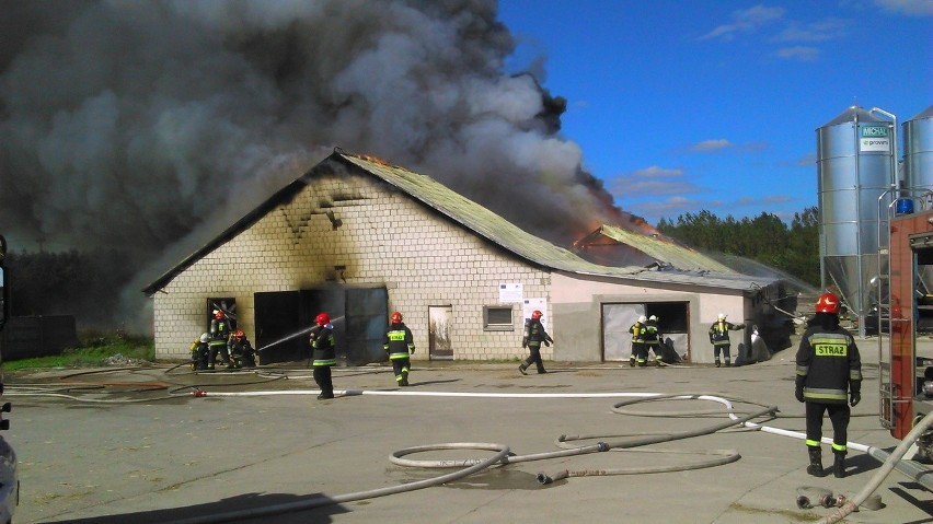 Dziś po godz. 13 w Kurianach zapalił się budynek z kurami -...