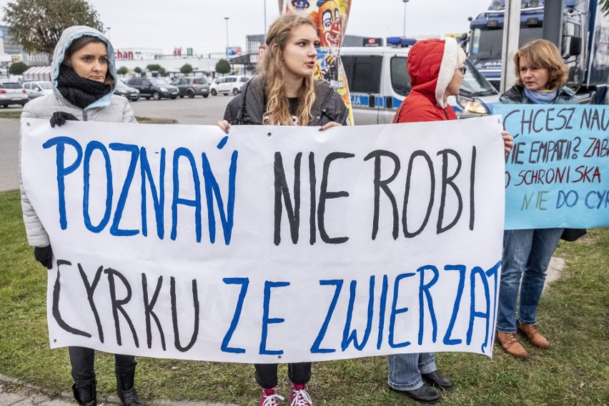 Protestujący podkreślają: „Jesteśmy zwolennikami sztuki...