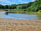 Społeczna Straż Rybacka alarmuje, że Jezioro Sieniawskie zamieniło się w szambo