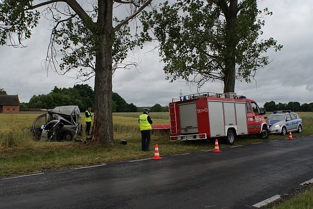 Śmiertelny wypadek koło Wieruszowa. Samochód rozbił się na drzewie